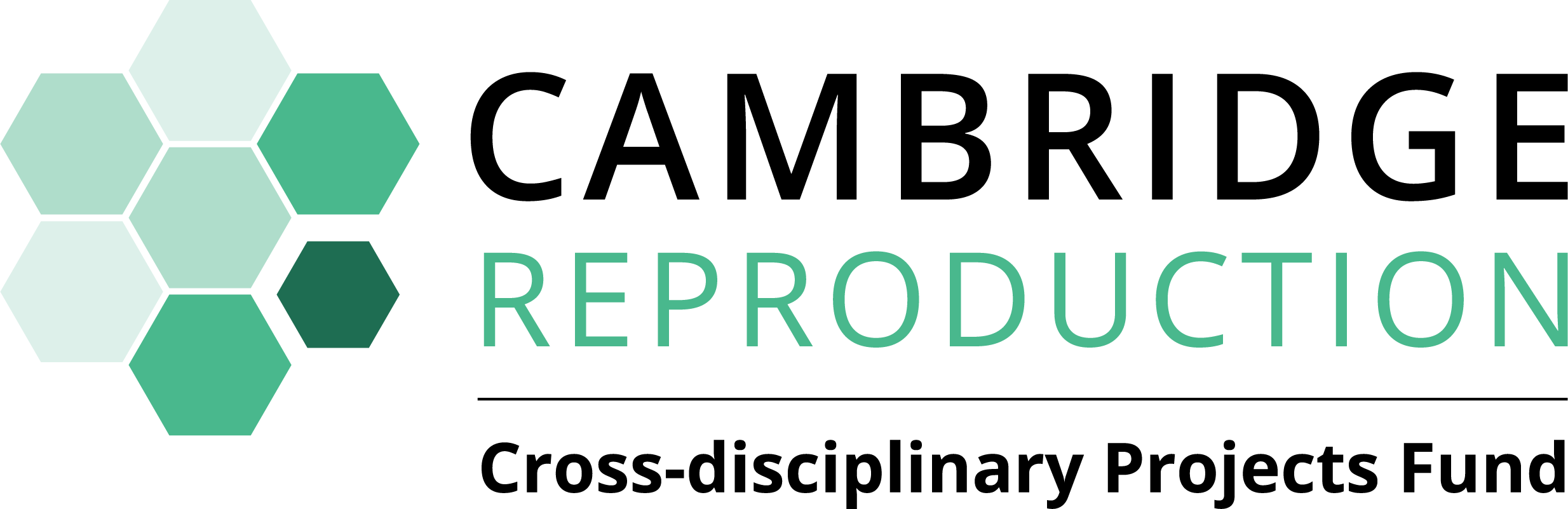 Cross-disciplinary Projects Fund logo