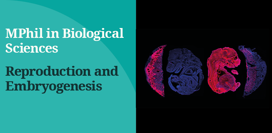 MPhil header image MPhil header image